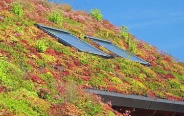 Blickling living roof systems