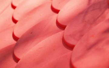 Blickling plastic roof costs